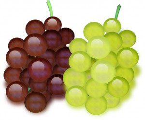 illust_grape02_01